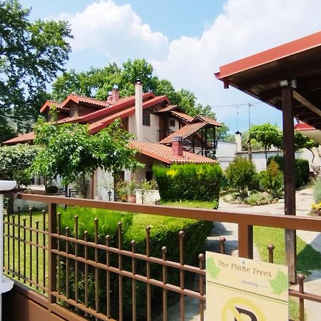 Villa "The Plane Trees" Polikarpi Exterior foto