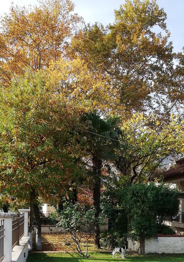 Villa "The Plane Trees" Polikarpi Exterior foto