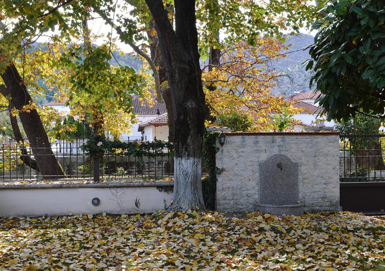 Villa "The Plane Trees" Polikarpi Exterior foto