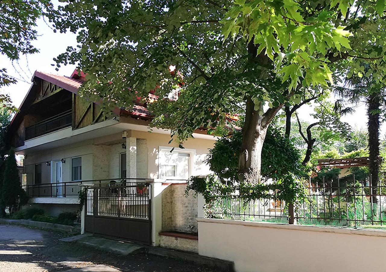 Villa "The Plane Trees" Polikarpi Exterior foto