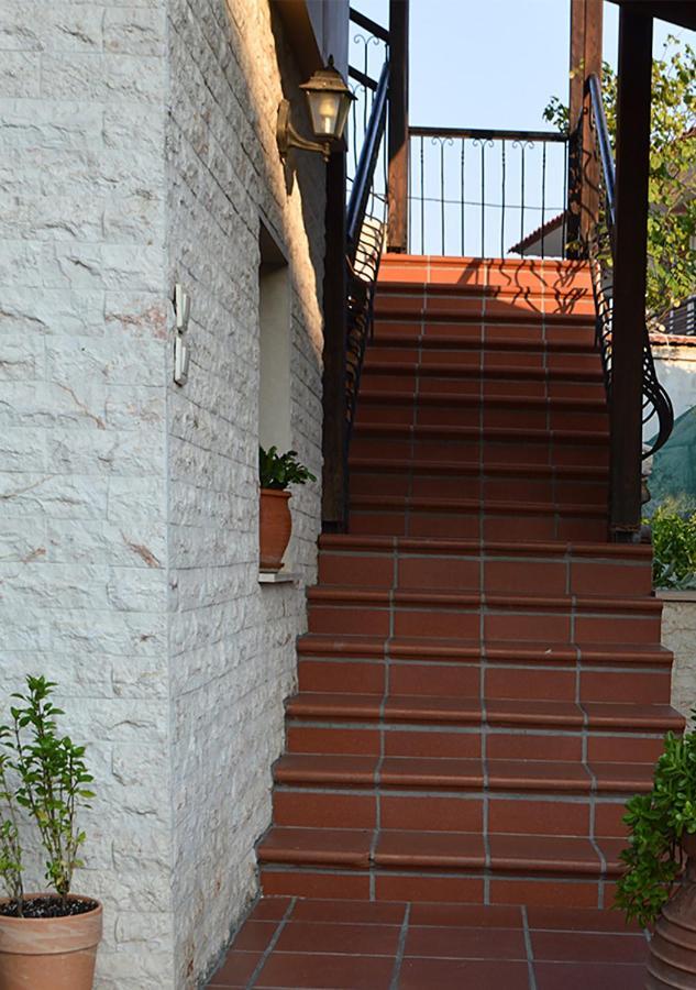 Villa "The Plane Trees" Polikarpi Exterior foto