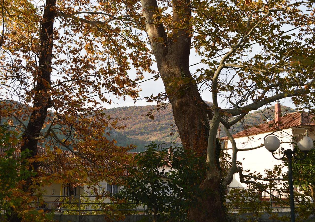 Villa "The Plane Trees" Polikarpi Exterior foto